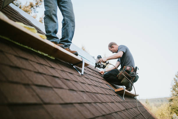 Best Roof Gutter Cleaning  in Oxoboxo River, CT